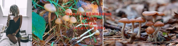 ALPHA-PVP Иннополис