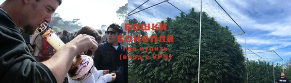 мяу мяу мука Каменногорск