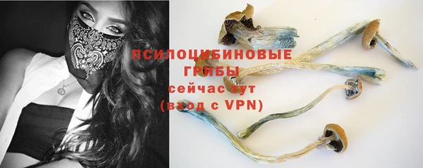 мяу мяу мука Каменногорск
