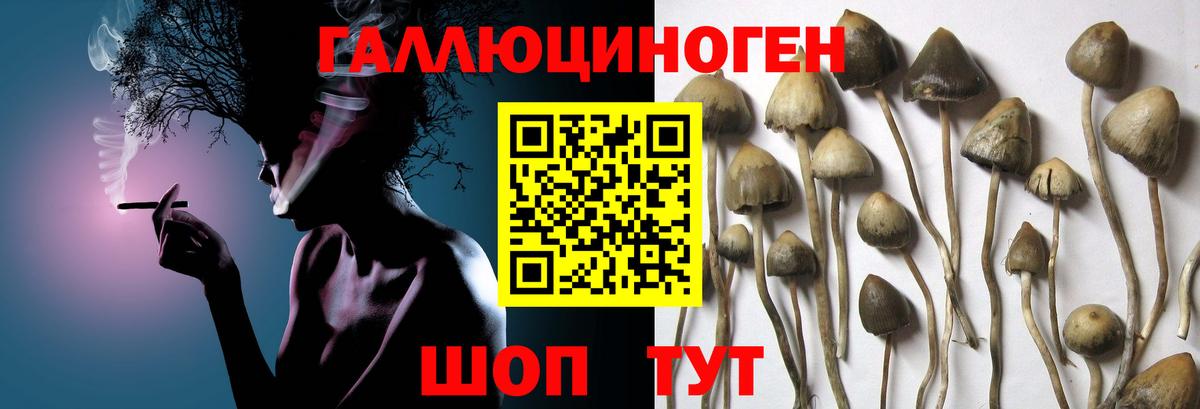 Галлюциногенные грибы Magic Shrooms  Псилоцибиновые грибы мицелий  Химки  Вход с VPN 